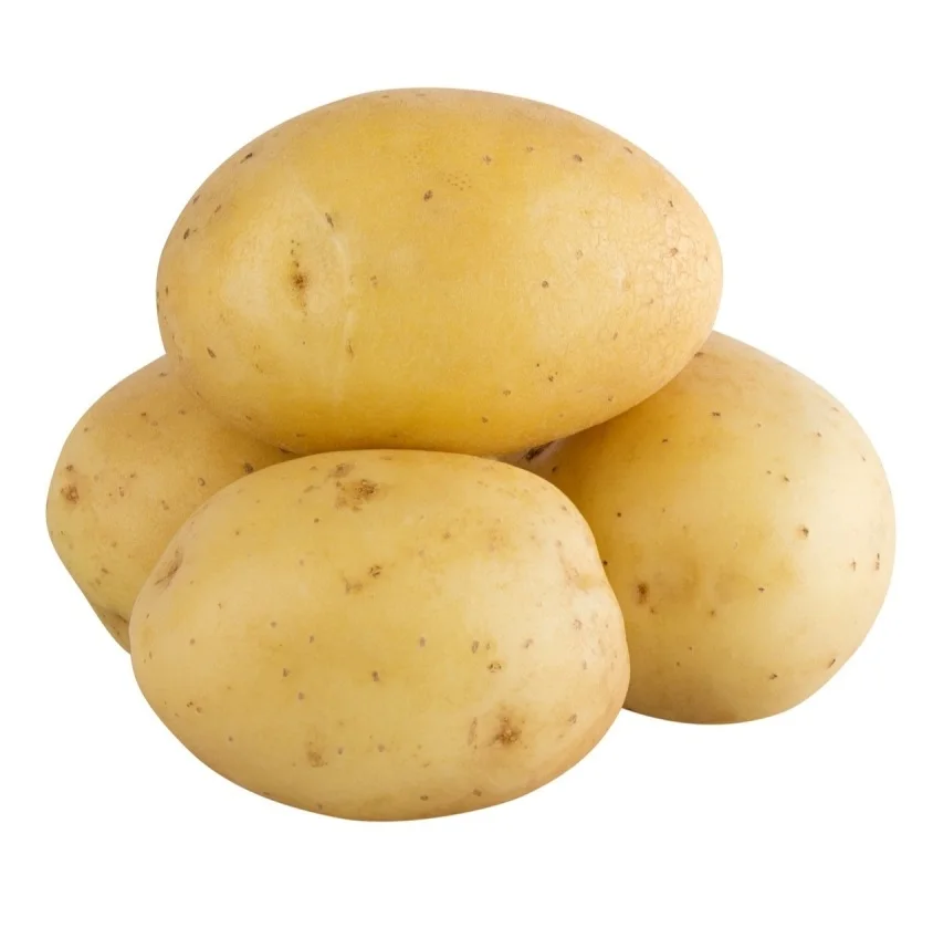 New Season Potato Wholesale Fresh Potato Africa Vegetables Export Buy Fresh Potato Factory