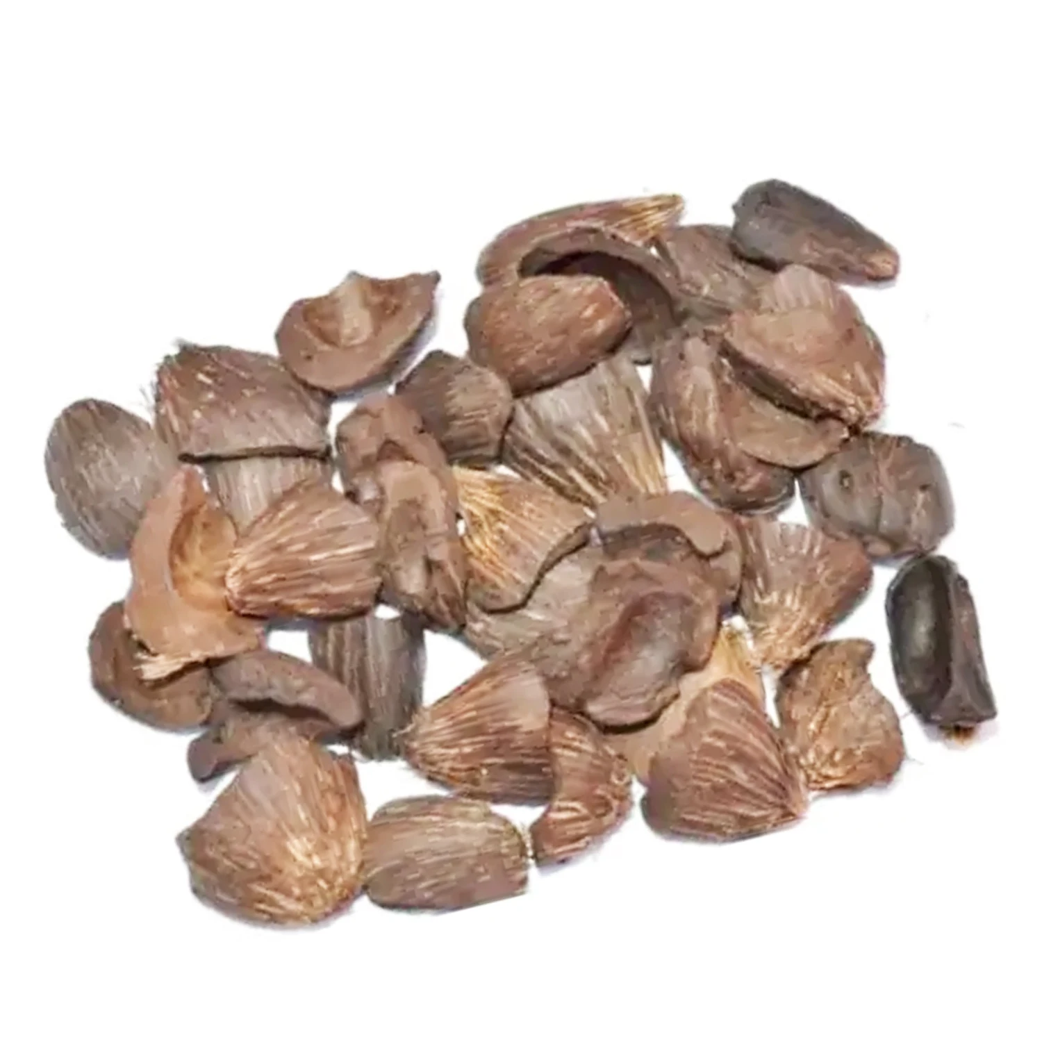 Friendly Fuel Industry Palm Kernel Shell Indonesia PKS Palm Shell High Active Carbon for Palm Kernel Charcoal Raw Material