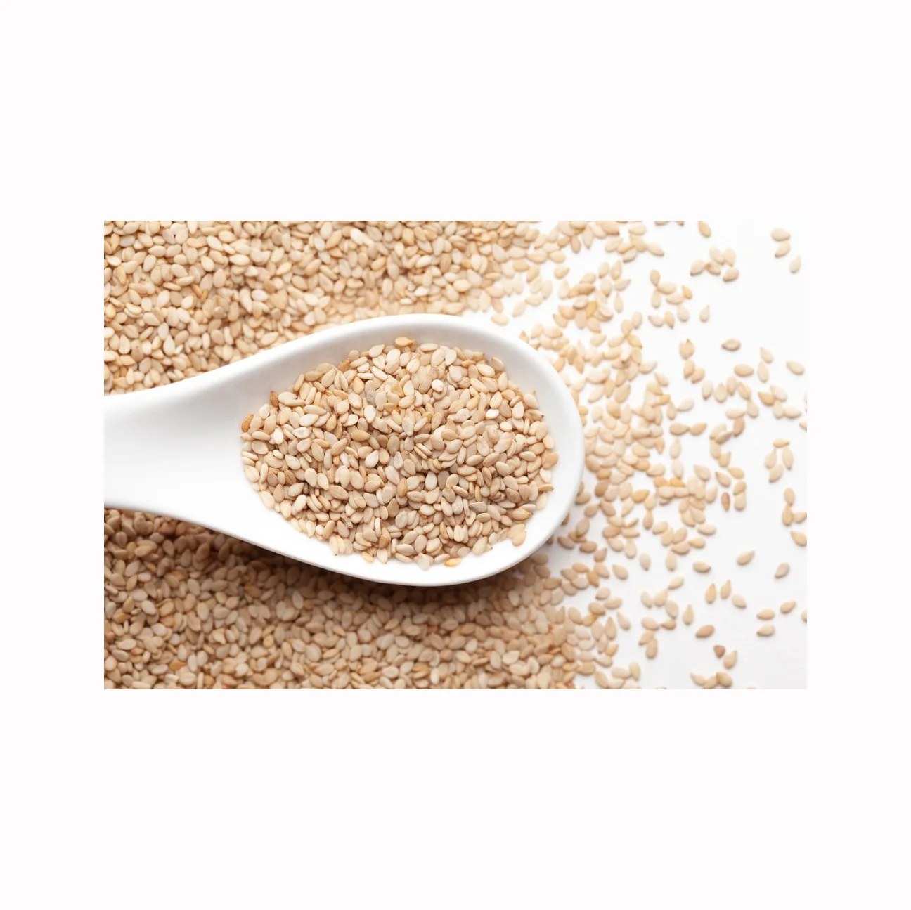 300g Premium Roasted Black Sesame Seed Buy Wholesale Top Grade Cooked