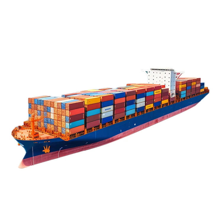 LCL+Express Shipping From China to Banjul Gambia Option for Sea Freight