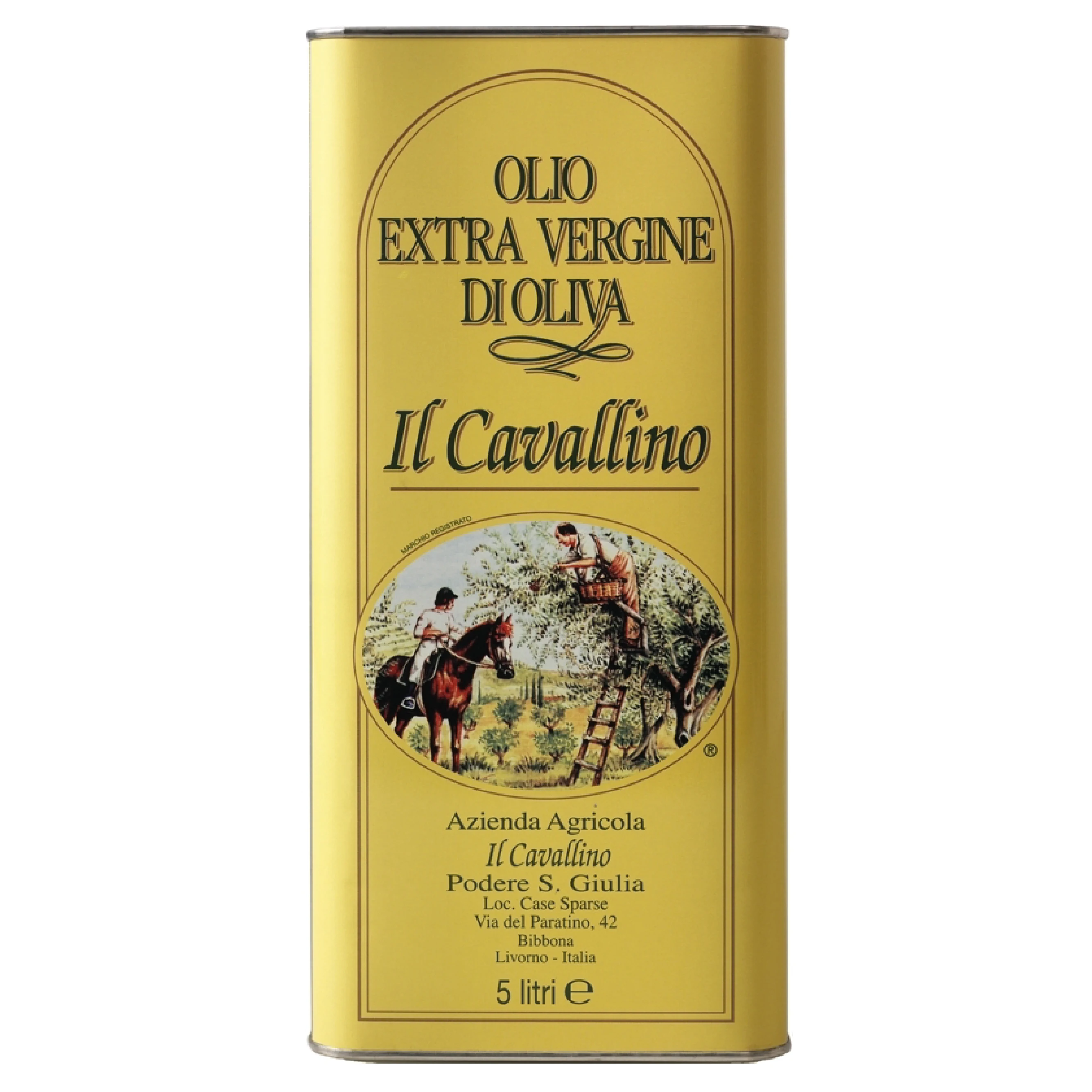 EXTRA VIRGIN OLIVE OIL IL CAVALLINO TRADITIONAL CANS of 5 LITERS CLASSIC FROM TUSCANY BIBBONA ITALY