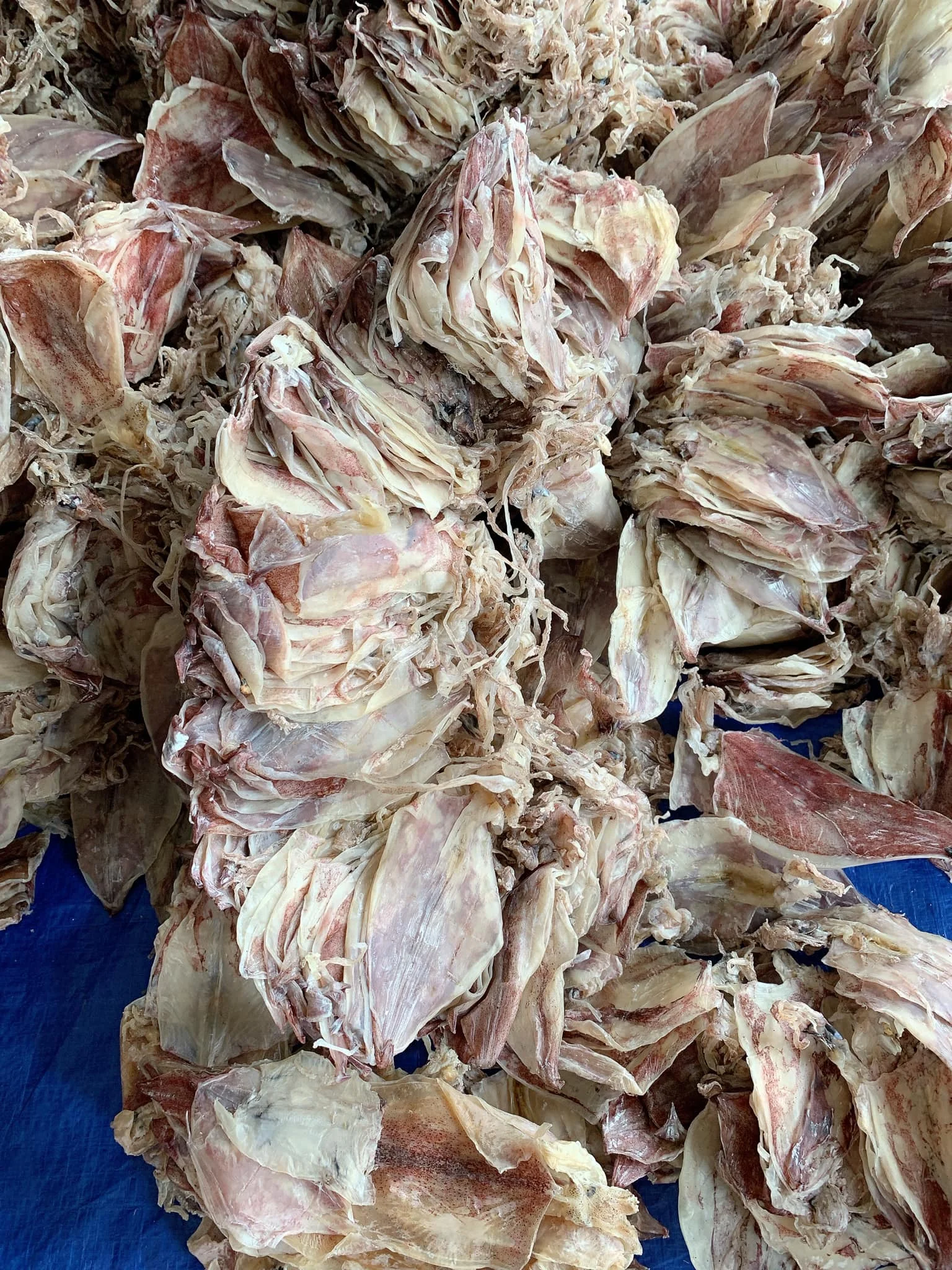 Dried Squid Dry Squid Dried Calamari Premium Grade Cuttlefish Buy