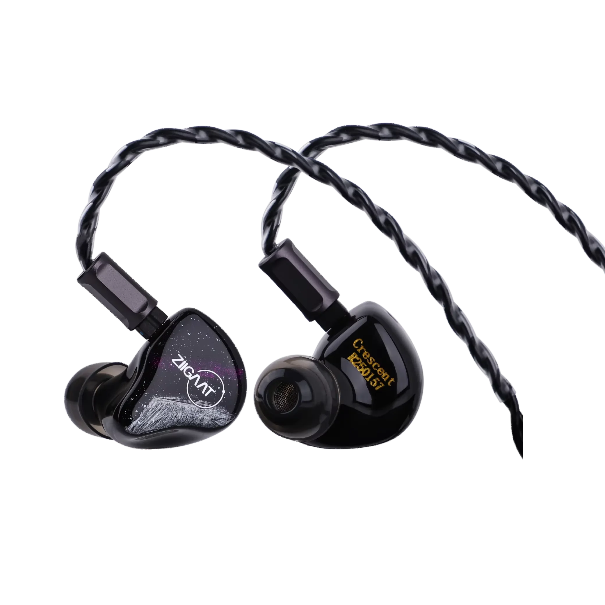 2025 ZiiGaat Crescent Premium 2DD+2BA Hybrid IEM Dual Dynamic