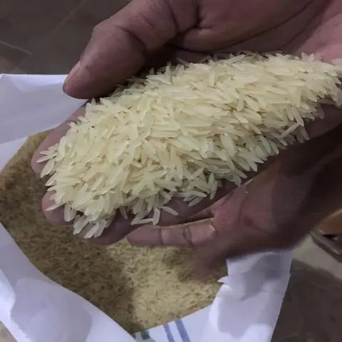 Basmati-Rice (4).jpg
