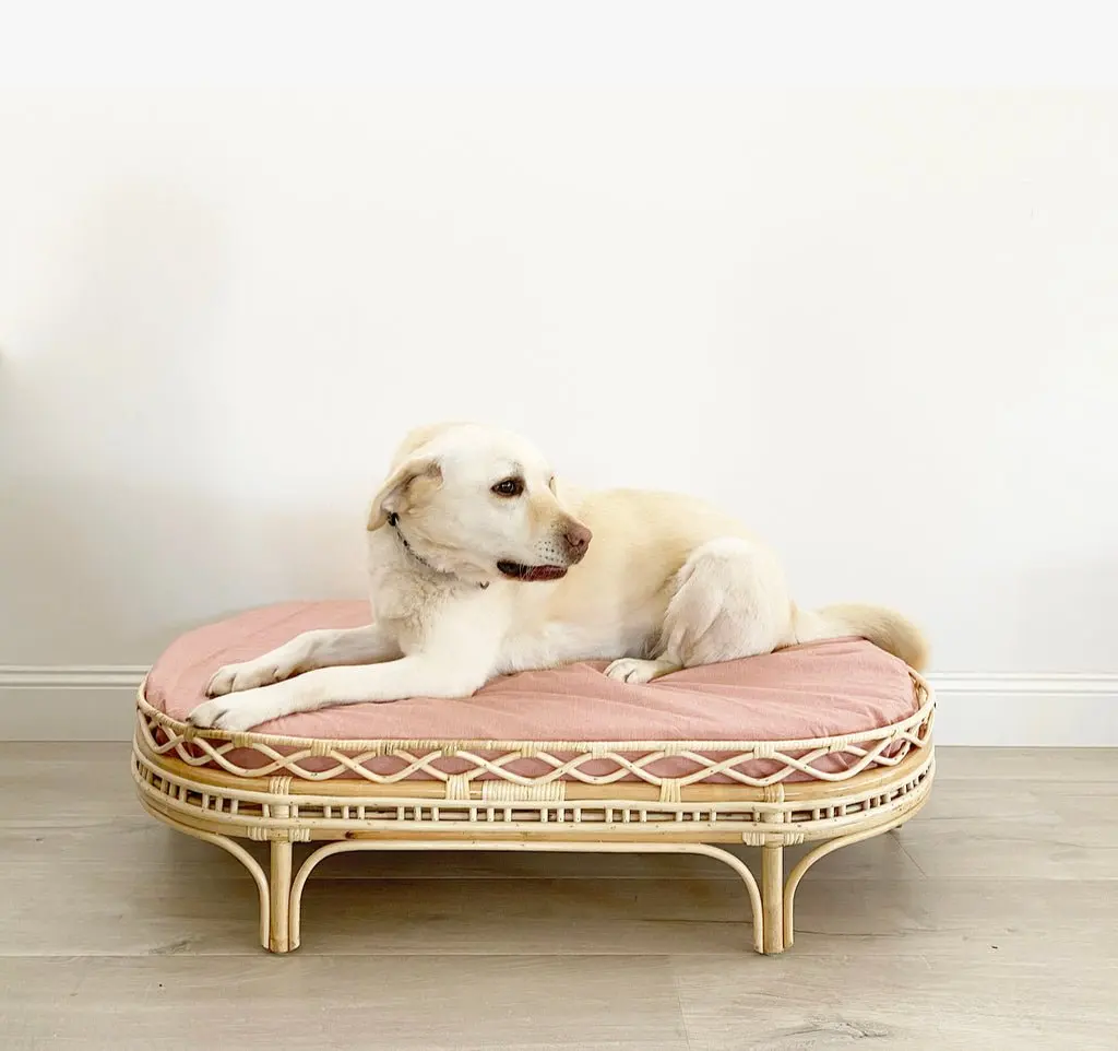Modern Designer Rattan Dog Bed With Mattress Pillow Cheapest Rattan