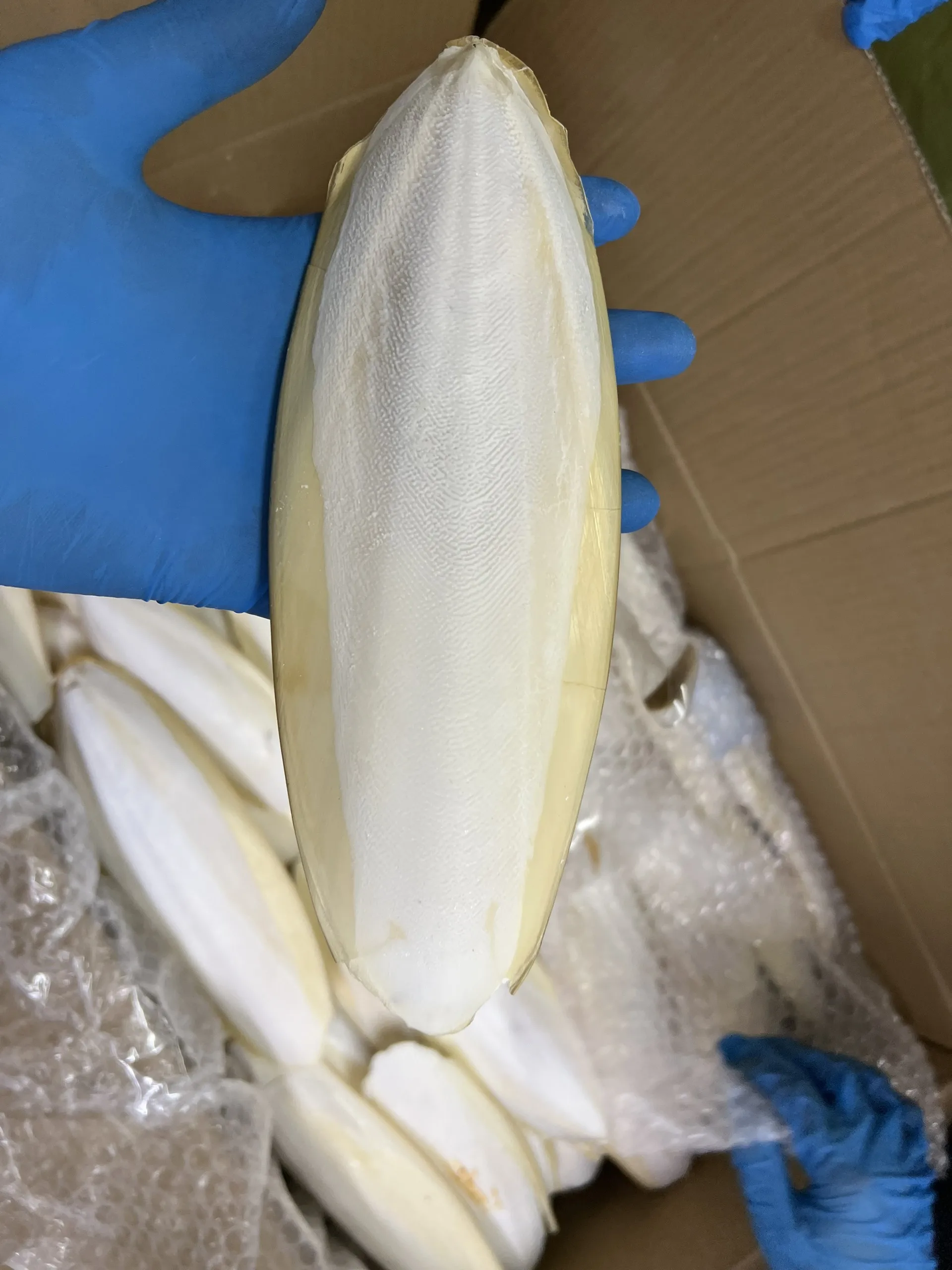 Держатель для костей из Вьетнама/овощей и каракатиц с подставкой попугаев клеток птиц/мс. Лима (+ 84)