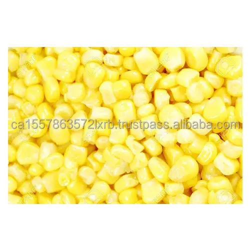 Best Quality Dried Yellow And White Corn Buy Bulk Selling Dried
