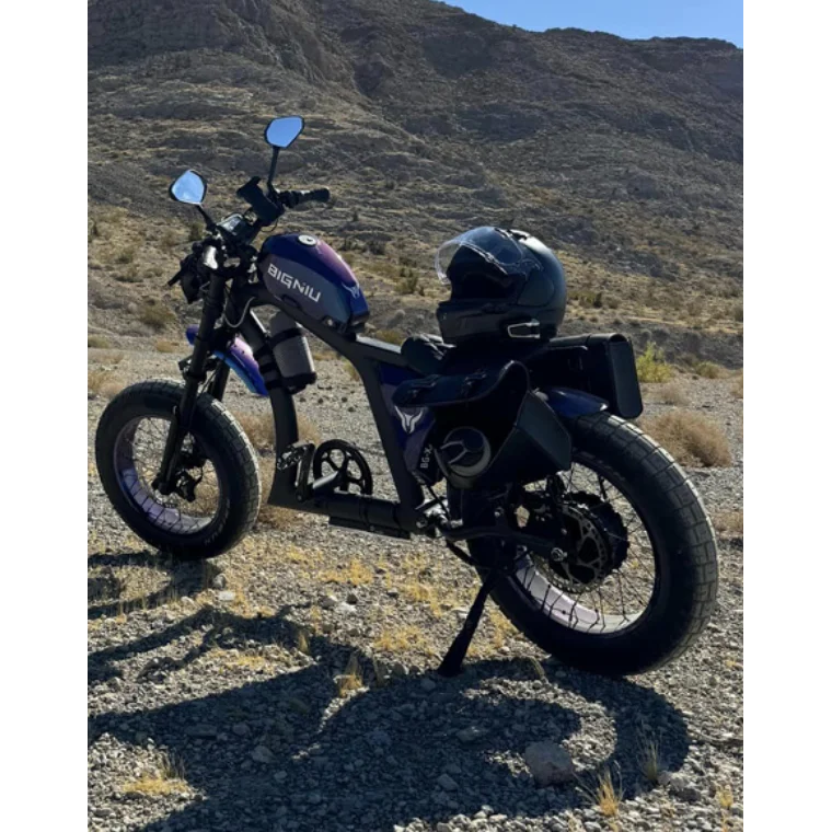 Mangosteen Chopper Electric Bike FT02 MINI 500W Motor 48V22.5AH Speed 25KM/H