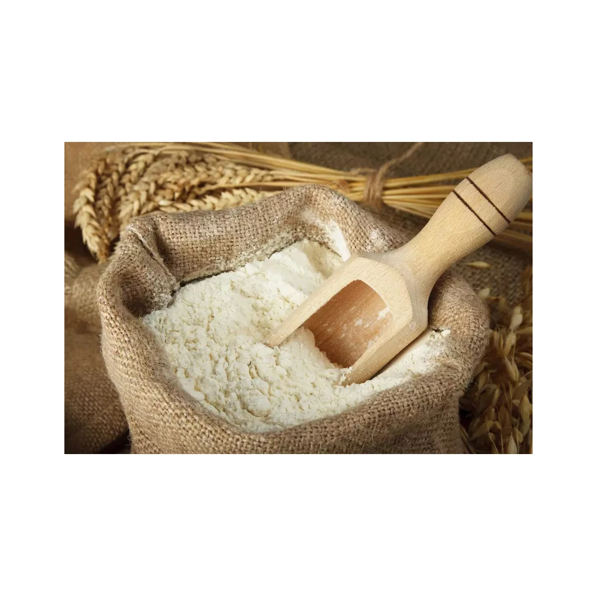 Quality Whole Wheat Flour For Export Wheat Flour 50kg/ukraine Organic