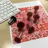 multicolore