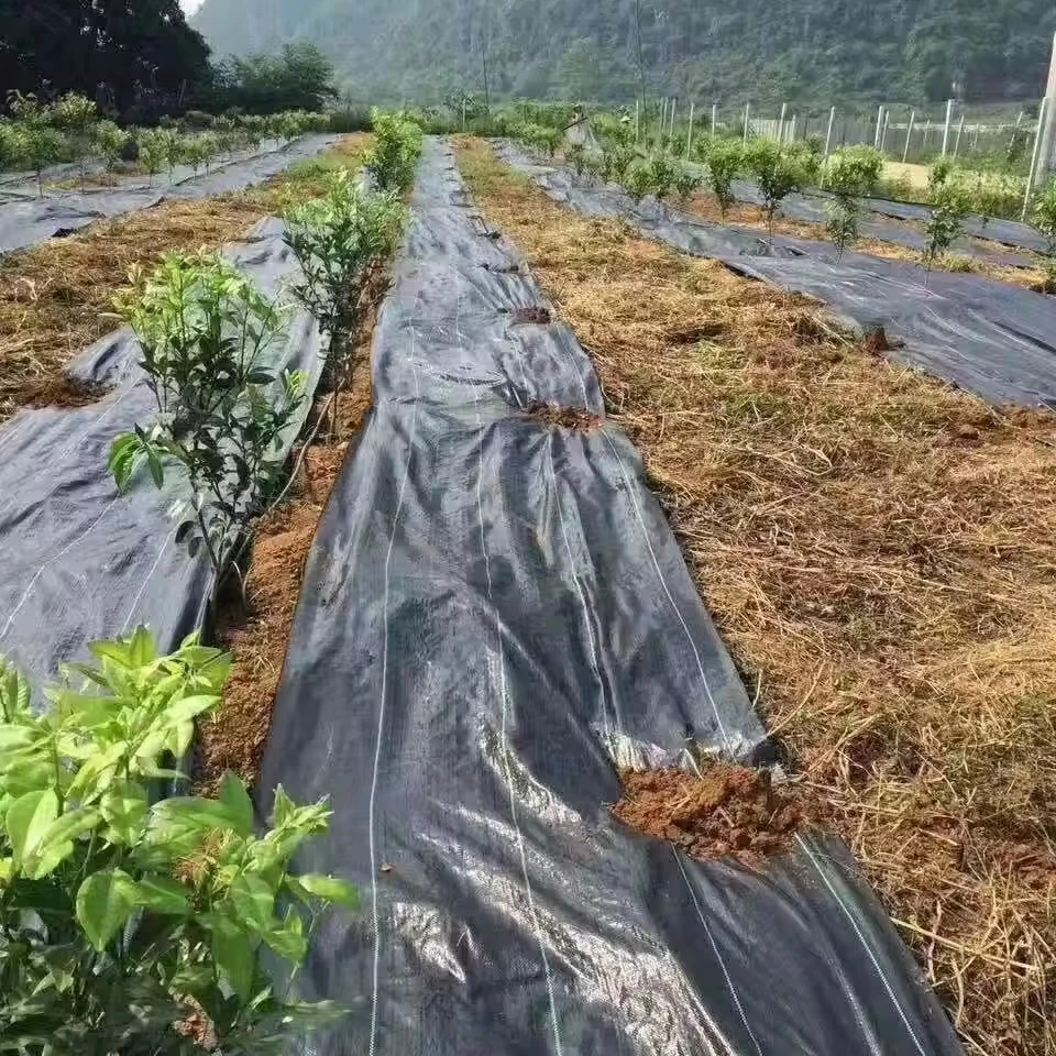 China Factory Agriculture Landscape Fabric - Biodegradable, image size:960x960