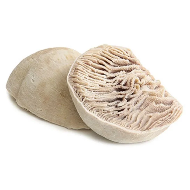 Organic Salty Beef Omasum Scalded Omasum and Beef Tripe Salted & Dried Frozen Beef Omasum