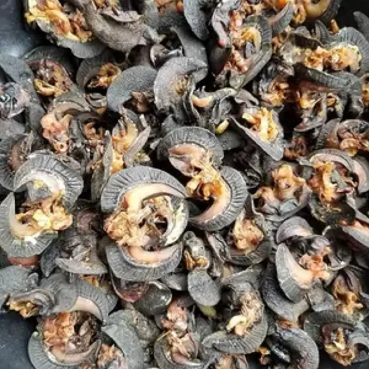 Osrs Raw Snail Meat - vsdkxb4