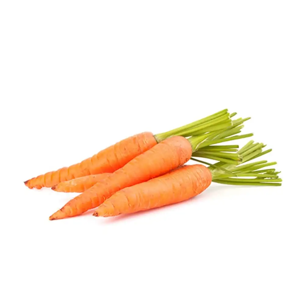 Fresh Carrots 4 Kg Wholesale Competitive Price Fresh Vegetables Carrots