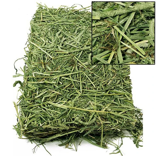 Alfafa Hay For Animal Feeding Stuff Alfalfa,Hay/timothy Hay Buy
