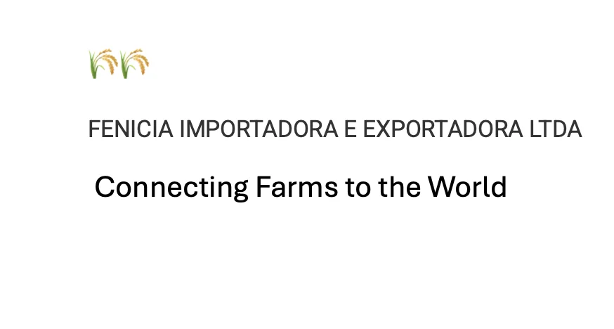 FENICIA IMPORTADORA E EXPORTADORA LTDA