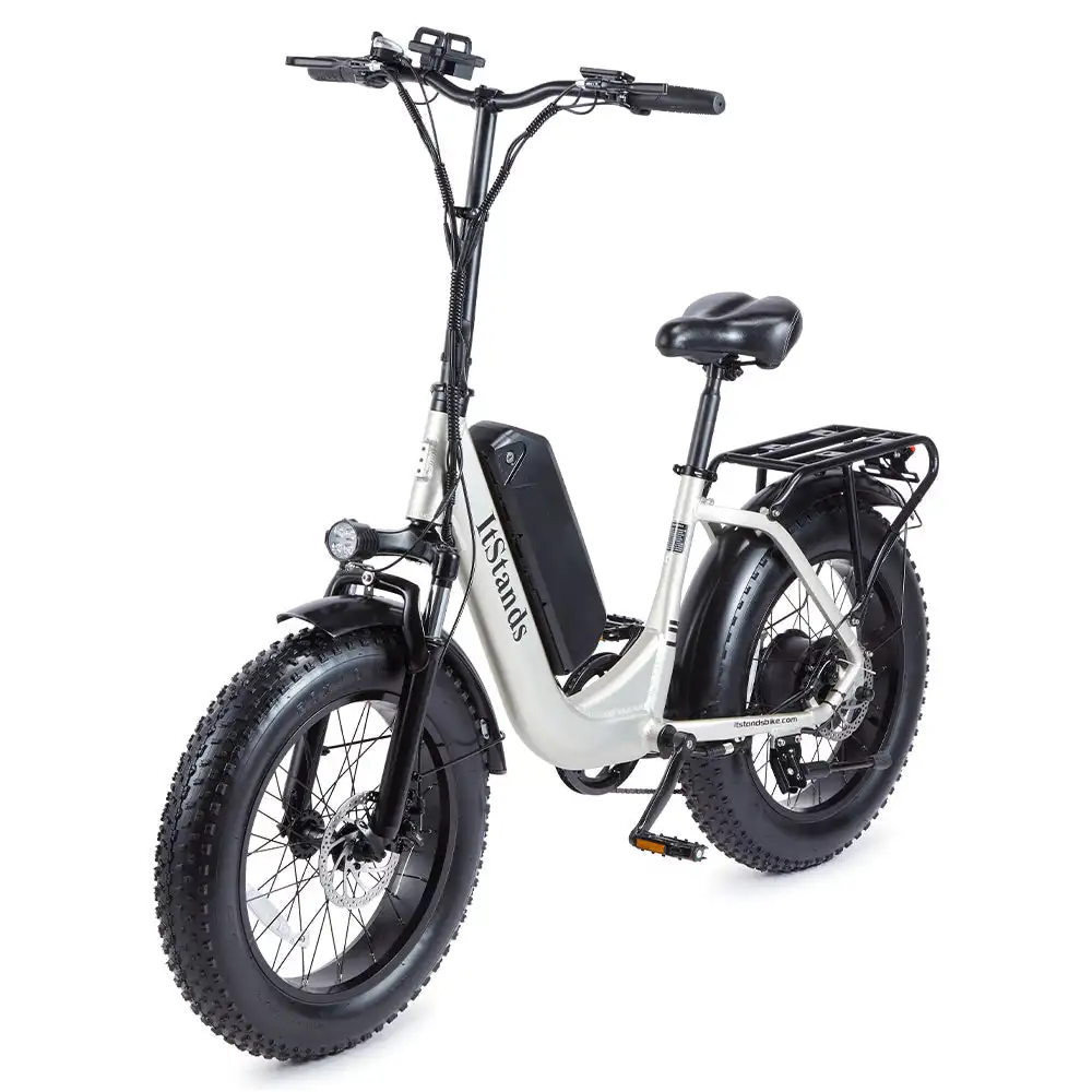 U1 Fat tire one piece Step-Through Design Ebike  800W 48V 15Ah  High-Performance Electric Bicycle