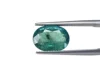 Medium Green