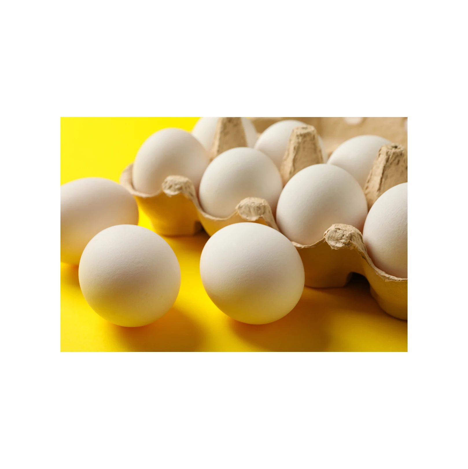 Fresh Chicken Table Eggs-fertilized Hatching Eggs,White And Brown ...