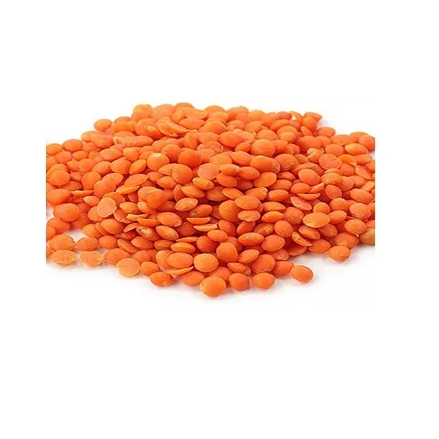 High Quality Bulk Dried whole split Lentils Red Lentils Green Lentils Cheap Price