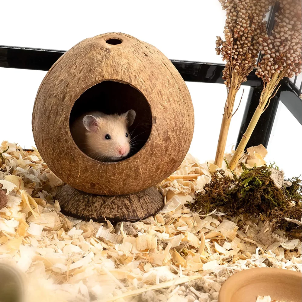 Wholesale Natural Coconut Hut Hamster House Bed for Small Animal Cage ...