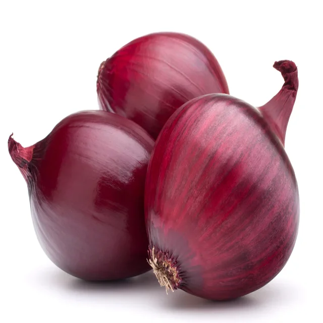 2024 ONION Red Onion for wholesale Manufacturers to Worldwide vast Selling at Low price