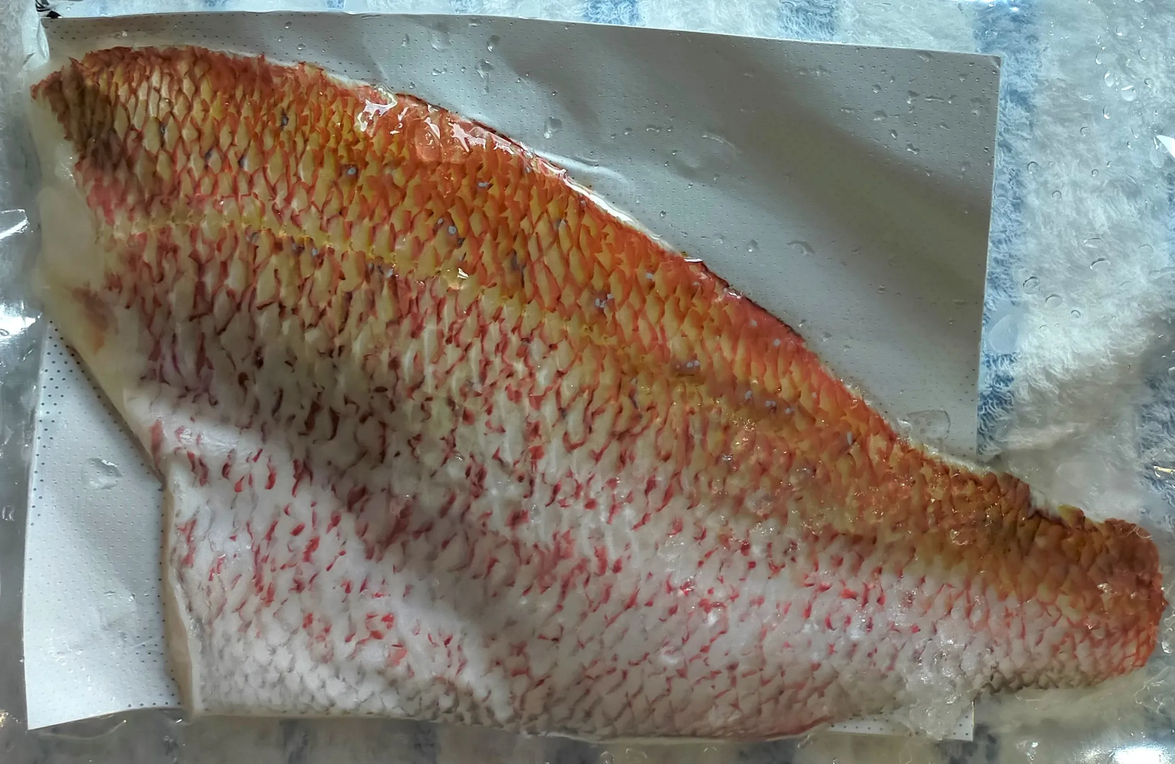 Japanese Sustainable Cheap Dried Sea Bream Frozen Fish Product Buy