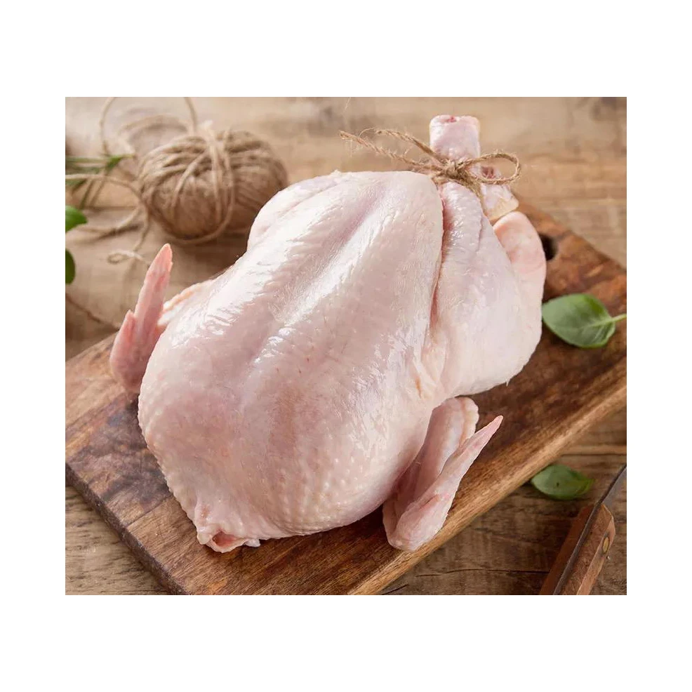 Halal Certified Frozen Whole Chicken For Sale Wholesale Frozen Halal