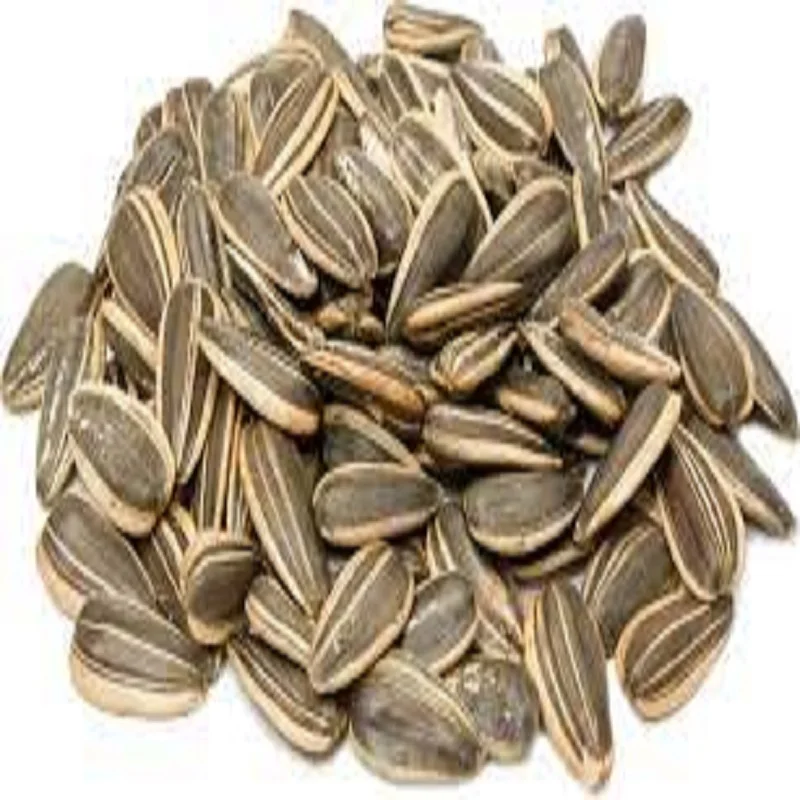 High Quality Roasted Salted Xl Sunflower Seeds Confectionery Sunflower