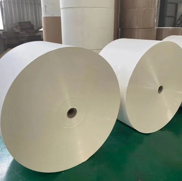 FBB C1s ivory board paper  PE/PLA coated white borad paper roll factory wholesale price  ivory paper roll