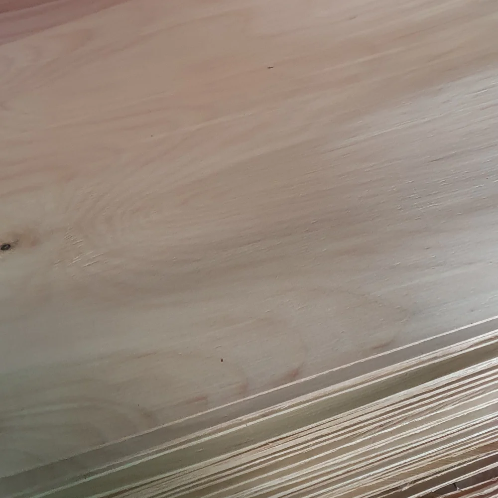 High Quality Rotarycut Conifer Wood Veneer Building Materials For