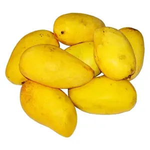 New Arrival Delicious Taste Fresh & Natural Mango Grade Pure Yellow Mango Fruit Available in Bulk Quantity