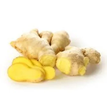 Ginger fresh ginger export high quality new crop in carton for wholesale fresh ginger / WHOLESALES High Quality Fresh Elent