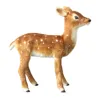 deer 01