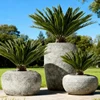 Grey scuro