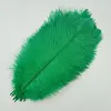 Herbe verte