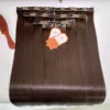 Clip en 01