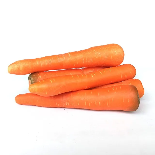 Fresh Carrot Fruit & Vegetable Products Good Price Organic Follow the Customer's Request Made in Vietnam Manufacturer