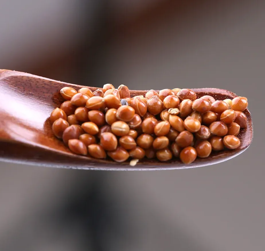 Ragi Red Millet Bajra/ Millet Bajra Seeds Dried Millet,Hulled Red