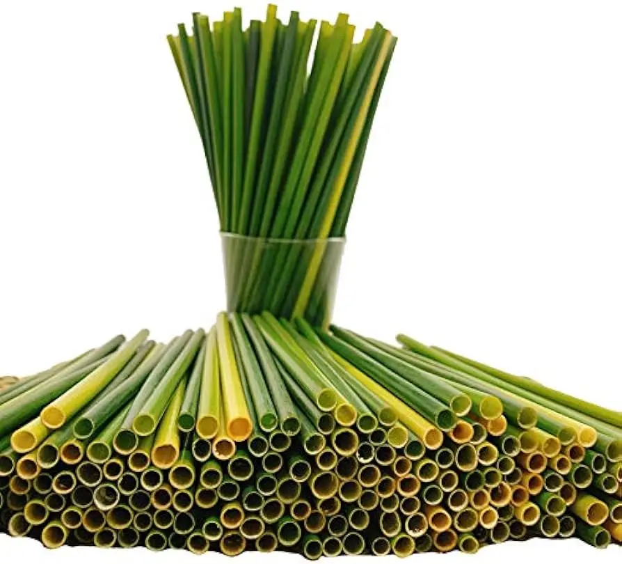 Eco2go Vietnam Supplies Natural And Biodegradable Grass Straw