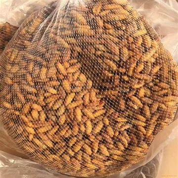 Silkworm Pupae Meal.25.jpg