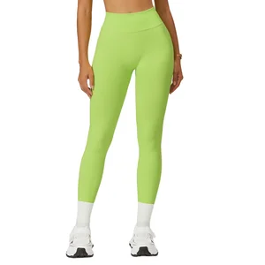 Leggings Seamless High Waisted Tight Yoga Pants for Women Outdoor Running Sports Fitness Gym Training Wear