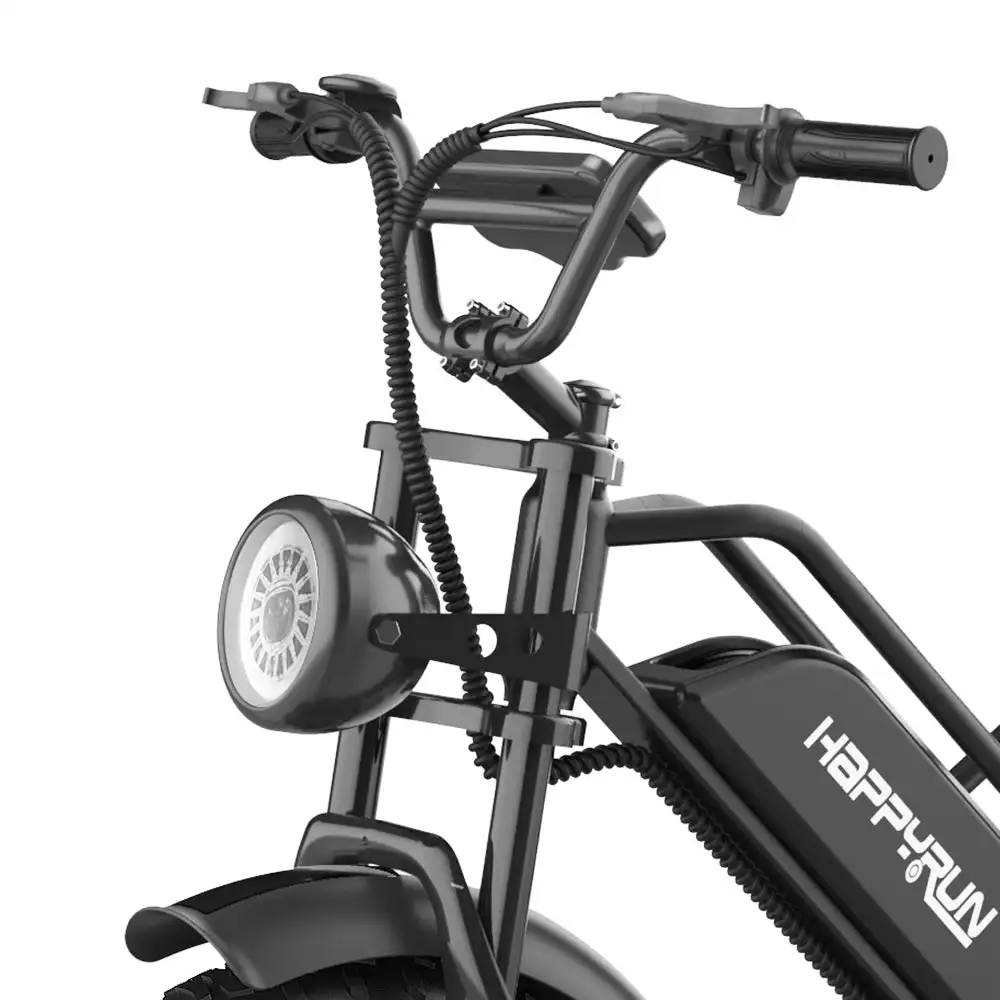 Black City G50 Electric Mountain Bike with Cargo Tank Sale Electric Bike