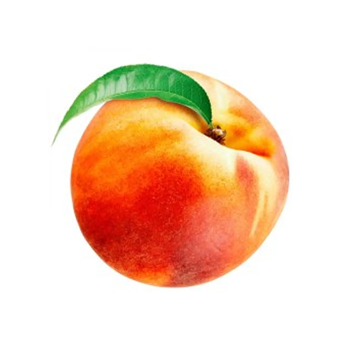 Персик рисунок для детей