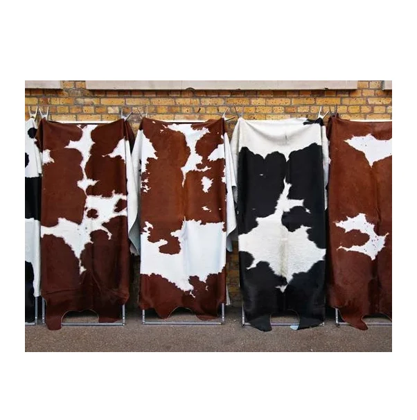 Dry And Wet Salted Cow Hides / Skins / Animal Cattle Hides Available