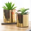 Antique Gold
