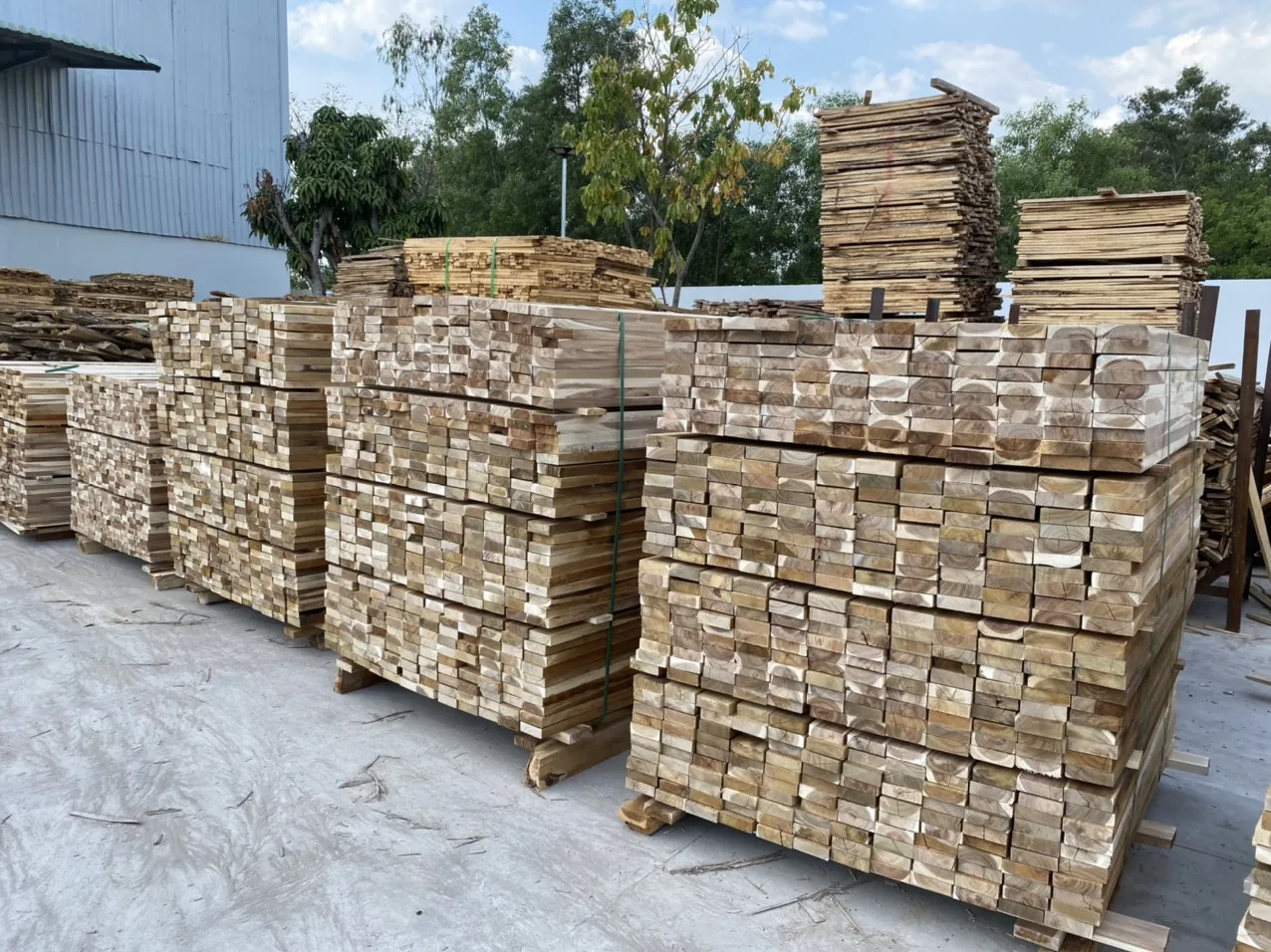 越南制造的合欢锯木商用木材尺寸便宜用于门外家具 - Buy 廉价皂荚木锯材越南,金合欢木材价格,金合欢木锯材越南制造的商业规模的木材户外家具 ...