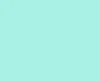 Menta