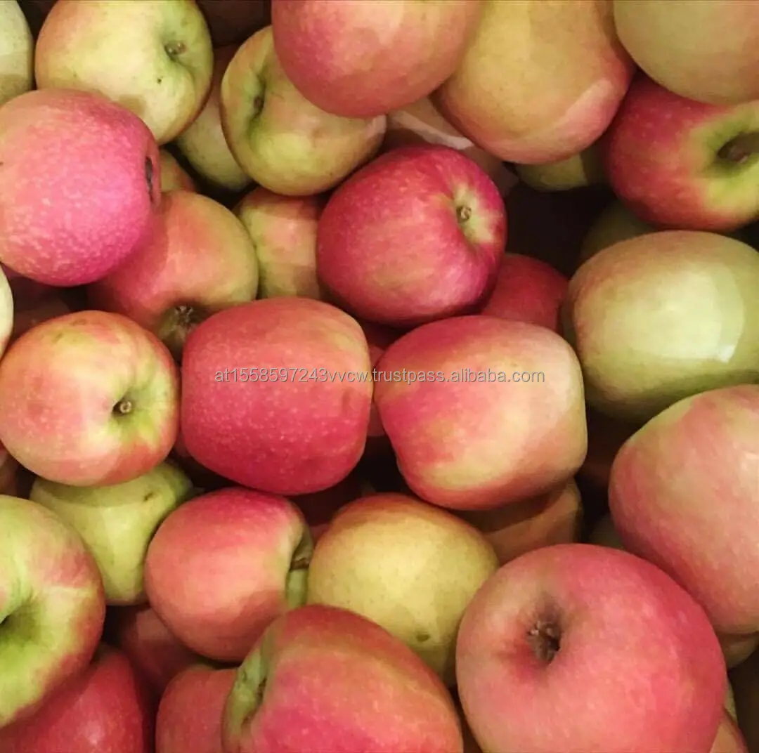 Pink Lady apple 1.jpg