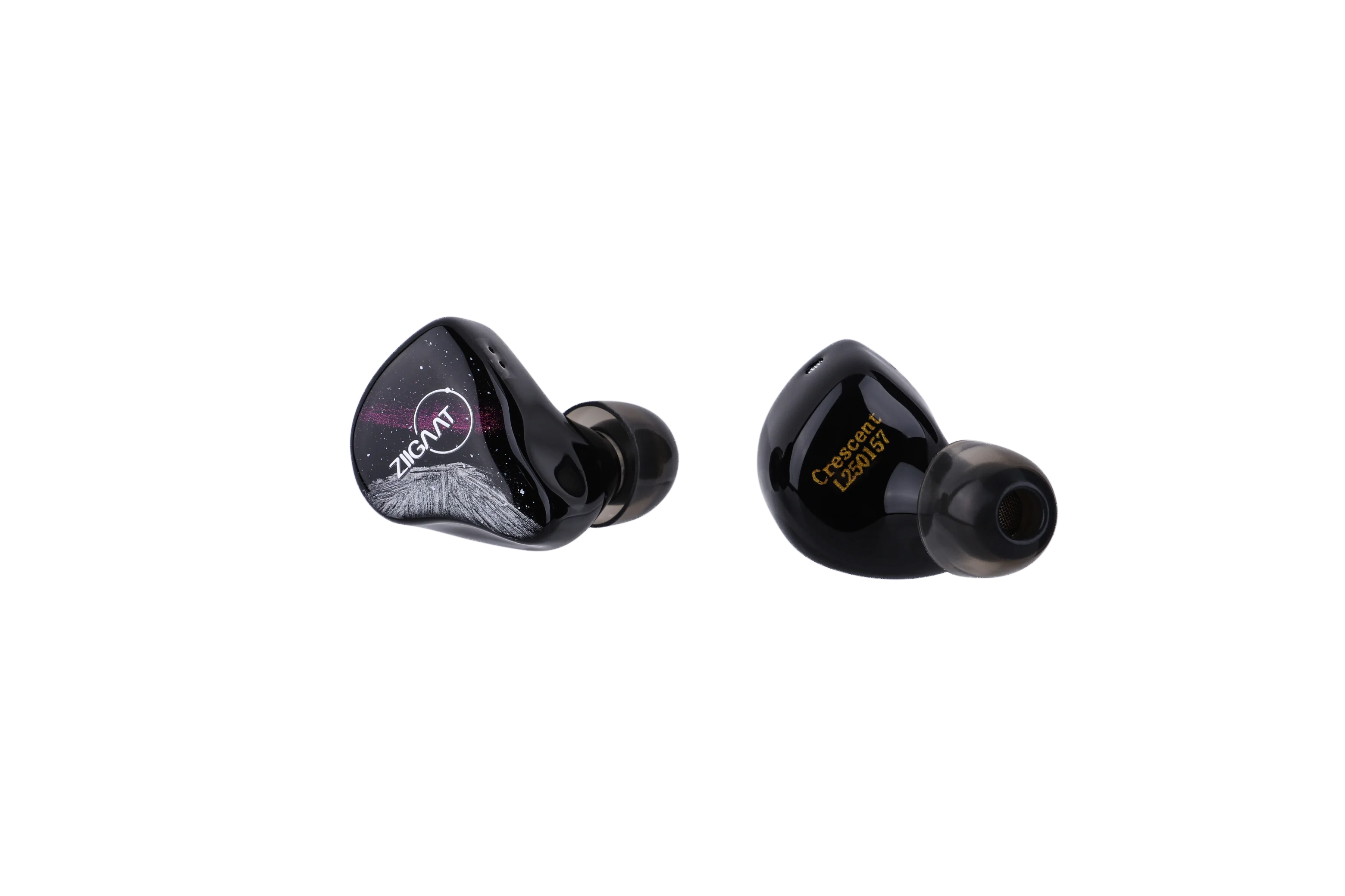 2025 ZiiGaat Crescent Premium 2DD+2BA Hybrid IEM Dual Dynamic